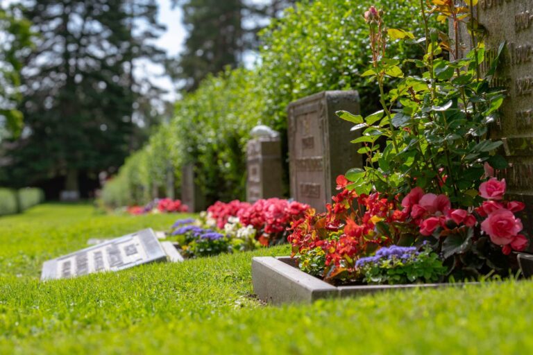 Burial plots; cemetery; graveyard; Row of grave stones in sunlight with red and pink flowers