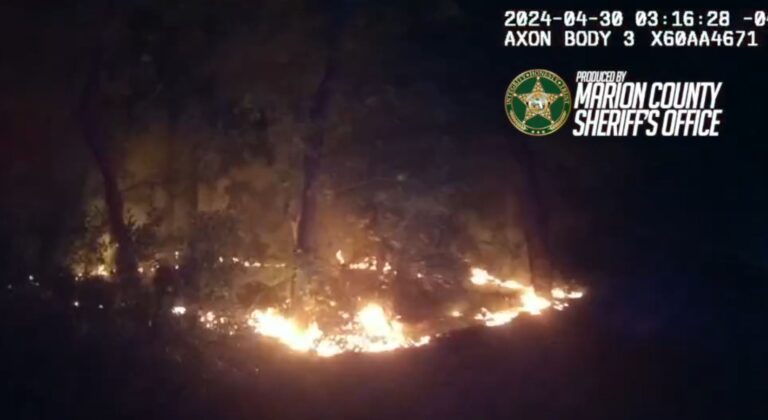 A total of eight fires were intentionally set in the Silver Springs Preservation Area on April 30, 2024.