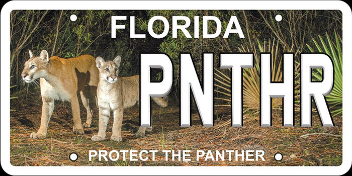 Florida Panther License Plate