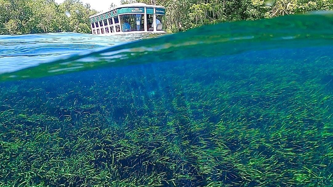 Glass bottom boat at Silver Springs State Park