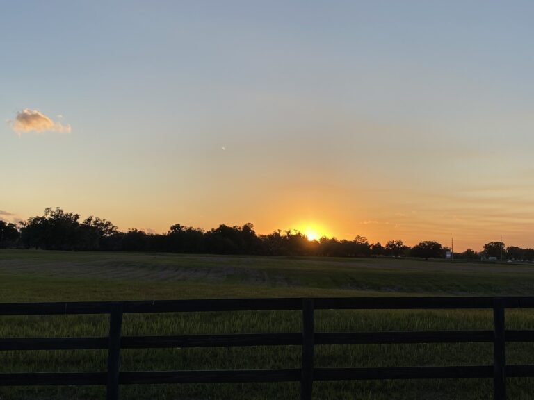 Gorgeous sunset near the World Equestrian Center in Ocala