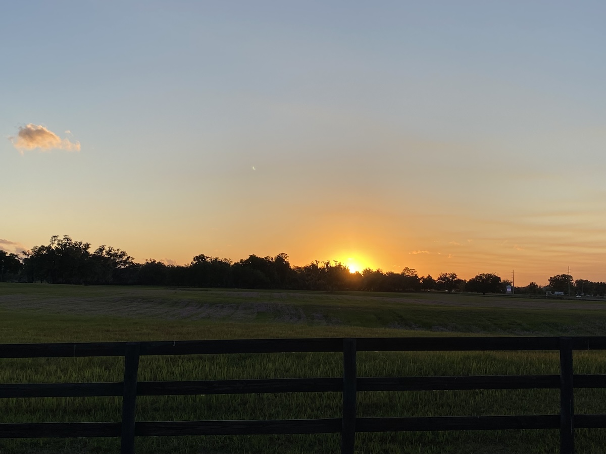 Gorgeous sunset near the World Equestrian Center in Ocala