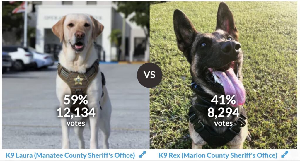 K-9 Rex (right) is in need of votes to advance to the next round of the Florida Sheriff's Association's Top Dog competition. 