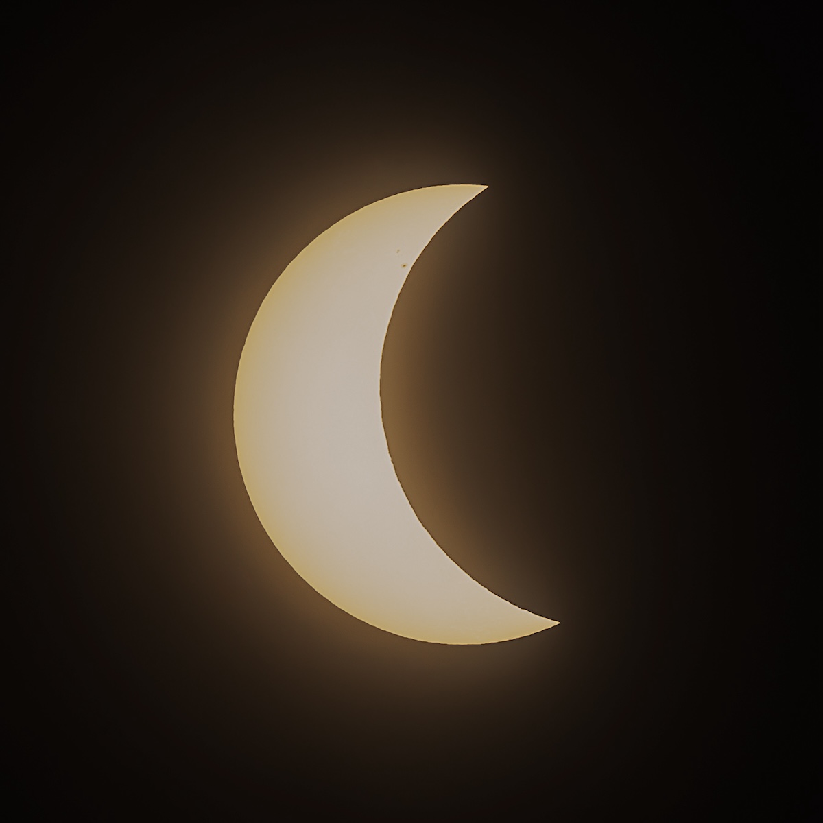 Solar eclipse captured in Ocala