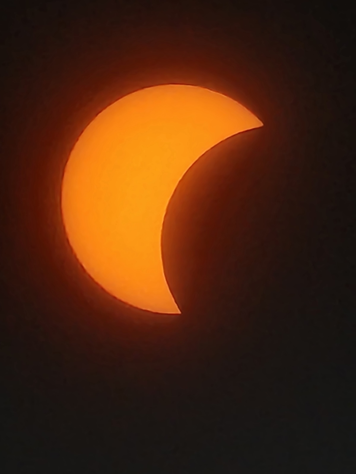Solar eclipse photographed from Ocala