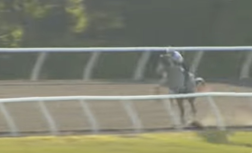 The horse can be seen jumping the barrier.