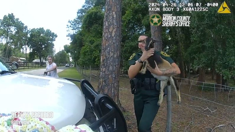 MCSO Deputy Victoria Hammons holding the young goat. (Photo: Marion County Sheriff's Office)