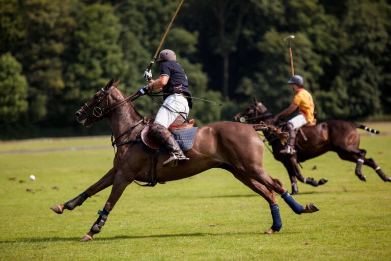 Mounted riders on horses in a polo match