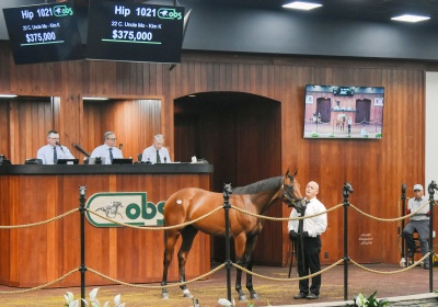Hip 1021 Judit Seipert photo