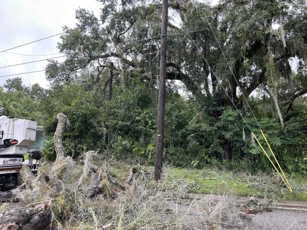 Downed power lines at NE 5th St and NE 17th Avenue. (Photo: Ocala Electric Utility)
