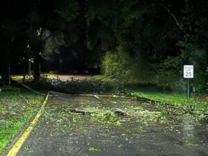 Downed tree at Oak Run Wendy Schneider