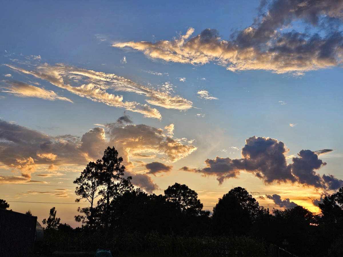 Gorgeous sunset over Belleview backyard
