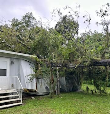A tree fell on top of a home and power lines in Dogwood Acres. (Photo: Ocala Electric Utility)
