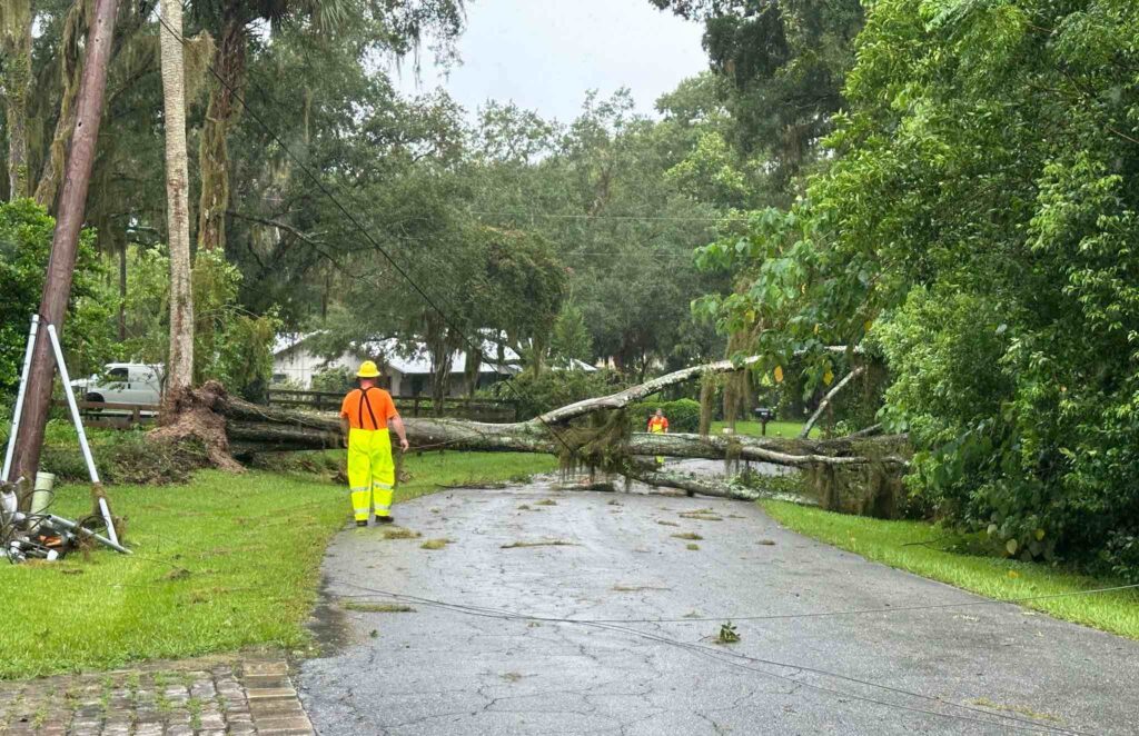 Trees on power lines at SW 26th St and SW 7th Ave Photo Ocala Electric Utility