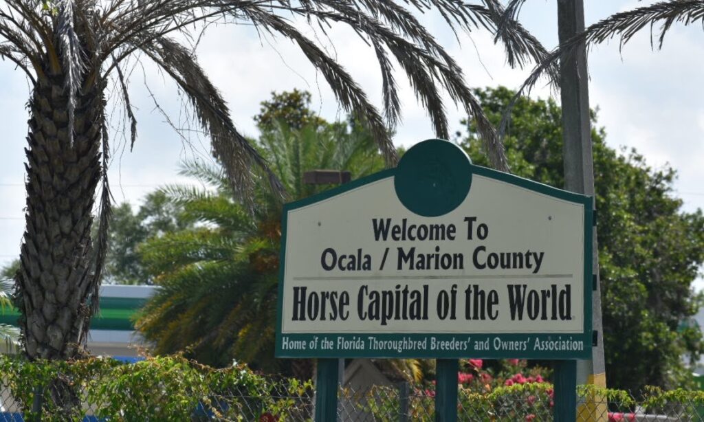 Welcome to Ocala:Marion County Horse Capital of the World