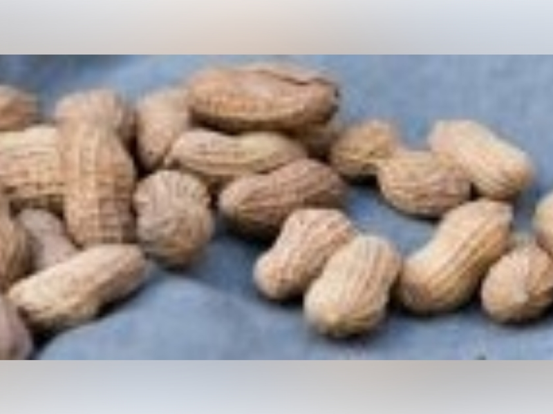 Peanut Festival