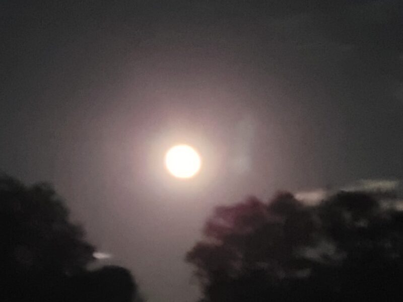Harvest supermoon viewed from Marion Oaks