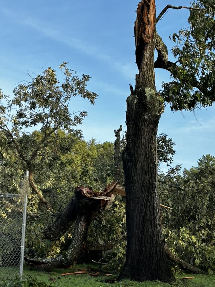 Hurricane Helene Broken tree in Churchill Subdivision Dawn Belcher