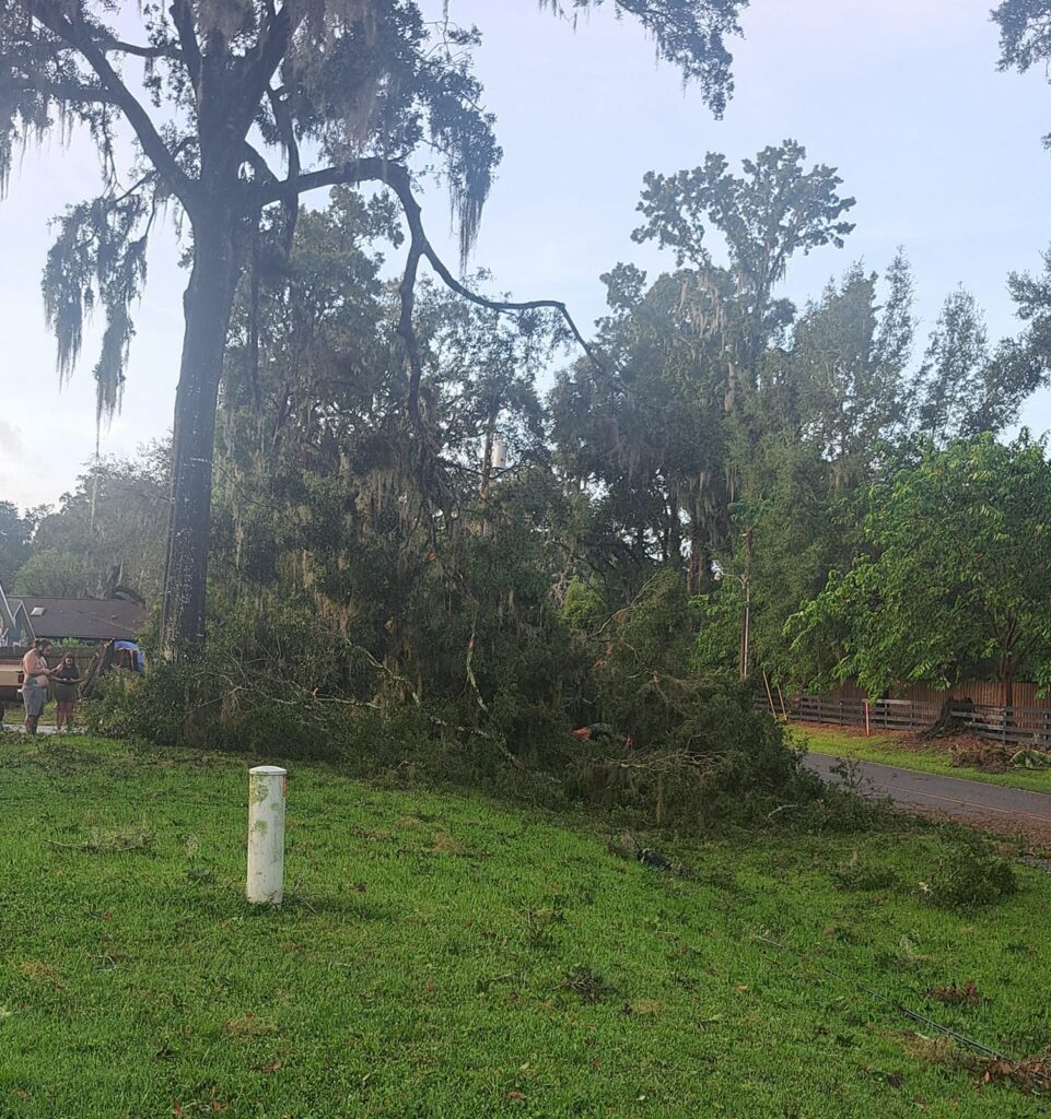 Hurricane Helene Downed tree Angel Clark Oker