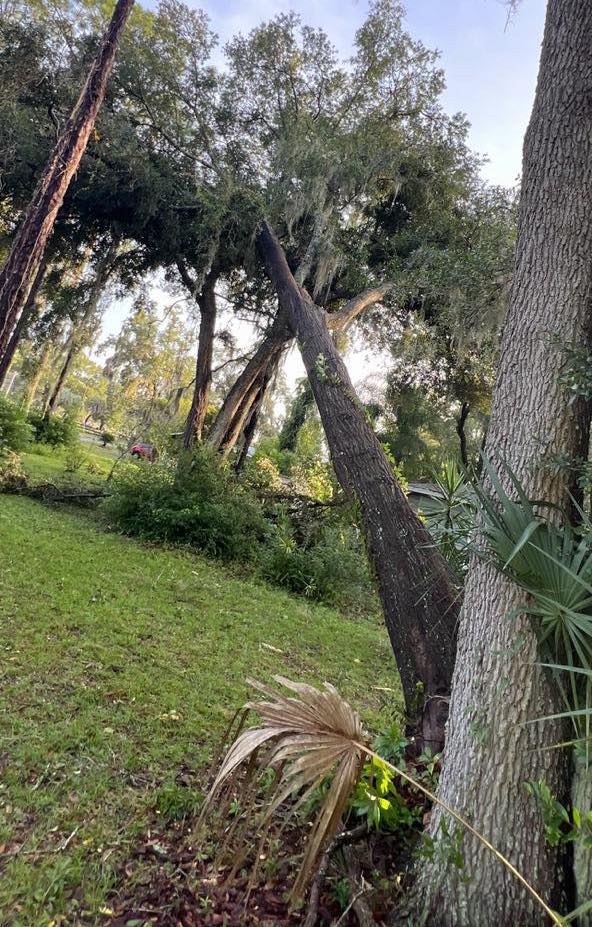 Hurricane Helene Downed tree Kathy Darlene Weaver
