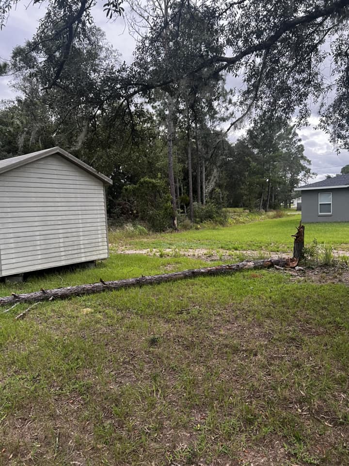 Hurricane Helene Downed tree in Marion County Matthew Dauberman
