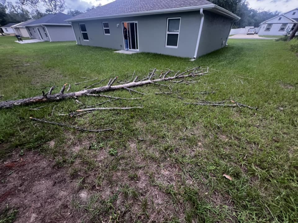 Hurricane Helene Downed tree in Ocala Matthew Dauberman