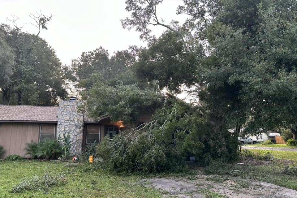 Hurricane Helene Downed tree in SW Ocala Bailey Smith