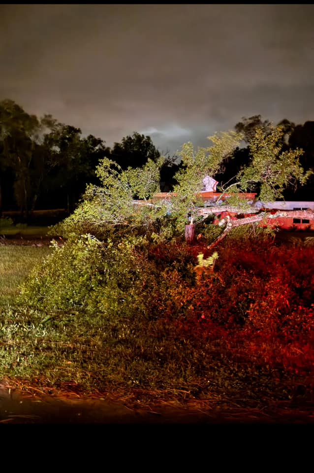 Hurricane Helene Downed tree in local neighborhood Smith BD