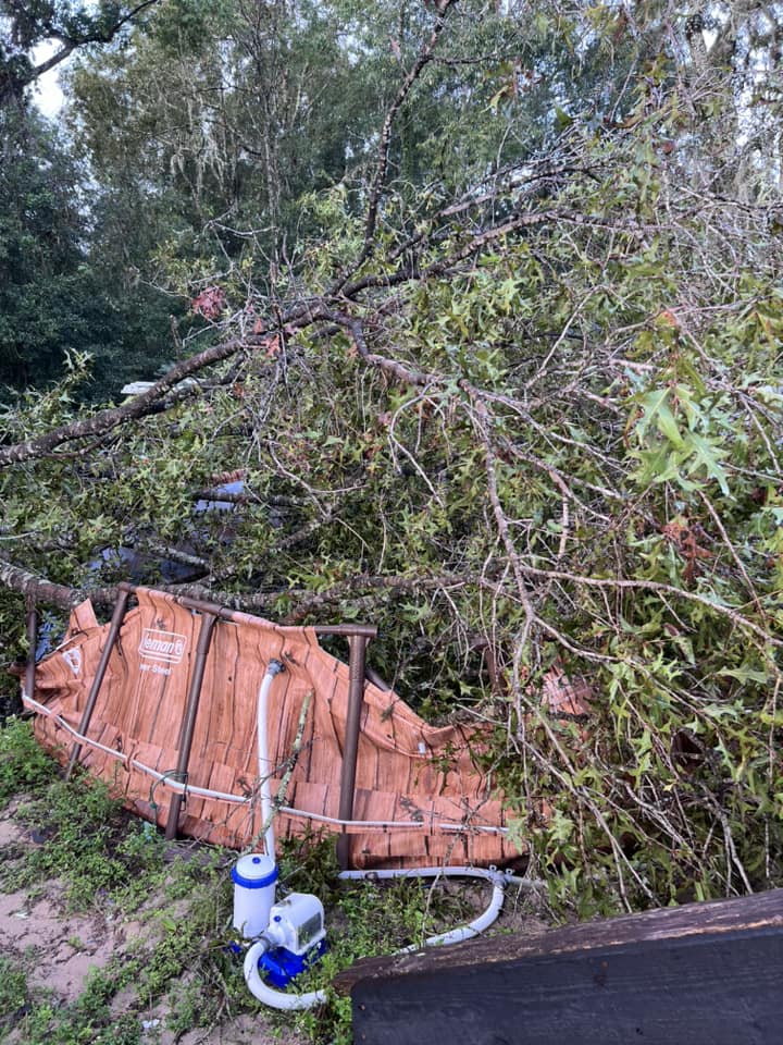 Hurricane Helene Downed tree on pool Deanna Reynolds