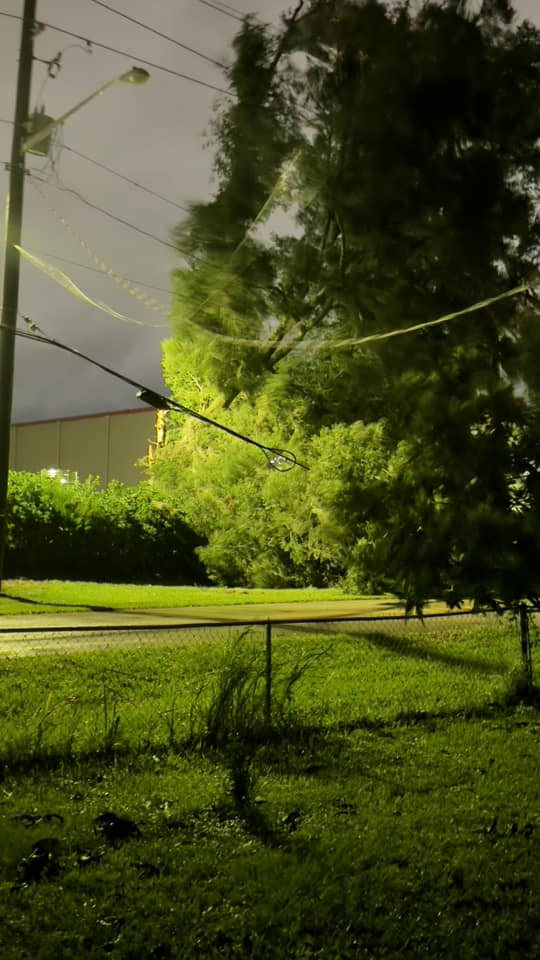 Hurricane Helene Downed tree on power lines Maria Ivette Flores Ramos