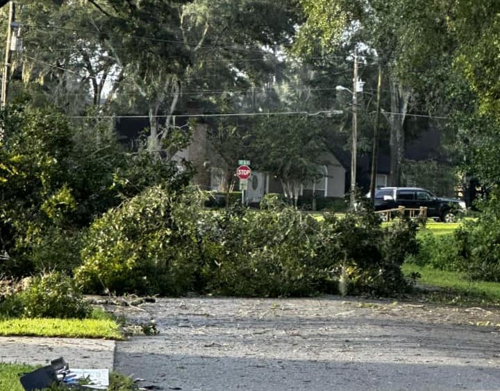 Hurricane Helene Downed tree on street near Churchill subdivision Dawn Belcher
