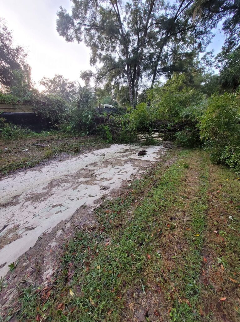 Hurricane Helene Tree downed on dirt road Ricci Sellon