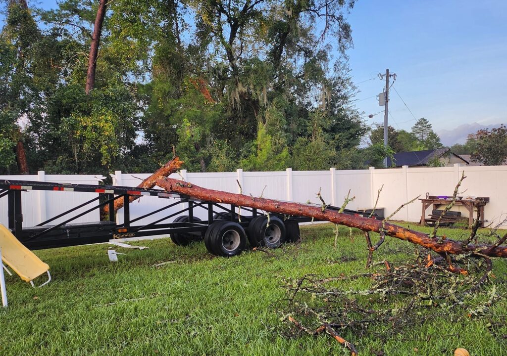 Hurricane Helene Tree downed on fence in Marion Oaks Denise Maldonado