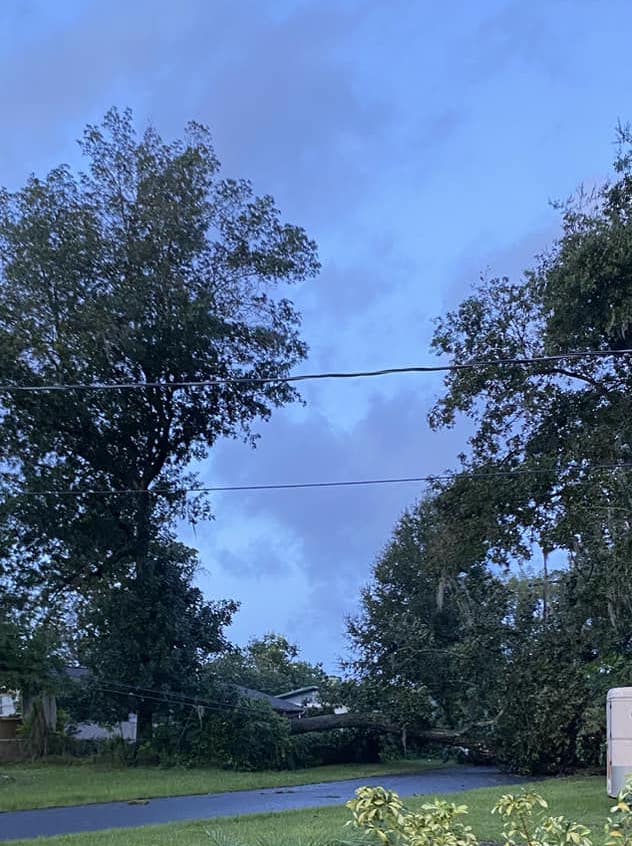 Hurricane Helene Tree downed on power lines in southwest Ocala, near College of Central Florida Julia Grand