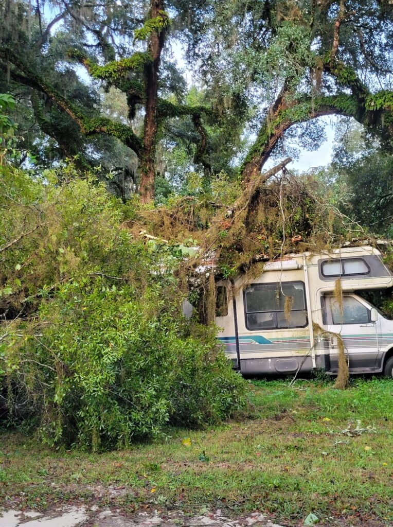 Hurricane Helene Tree downed onto parked recreational vehicle Ricci Sellon