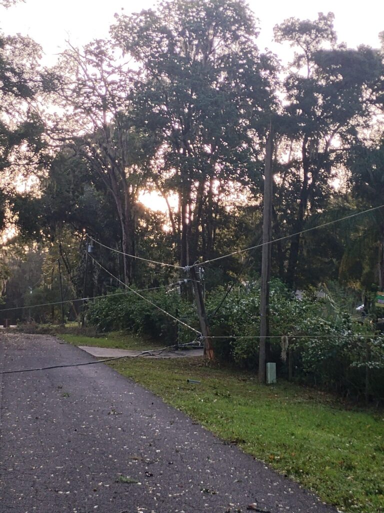 Hurricane Helene Tree downed onto power wires in Ocala Highlands Estates Phyllis McMickin Clark