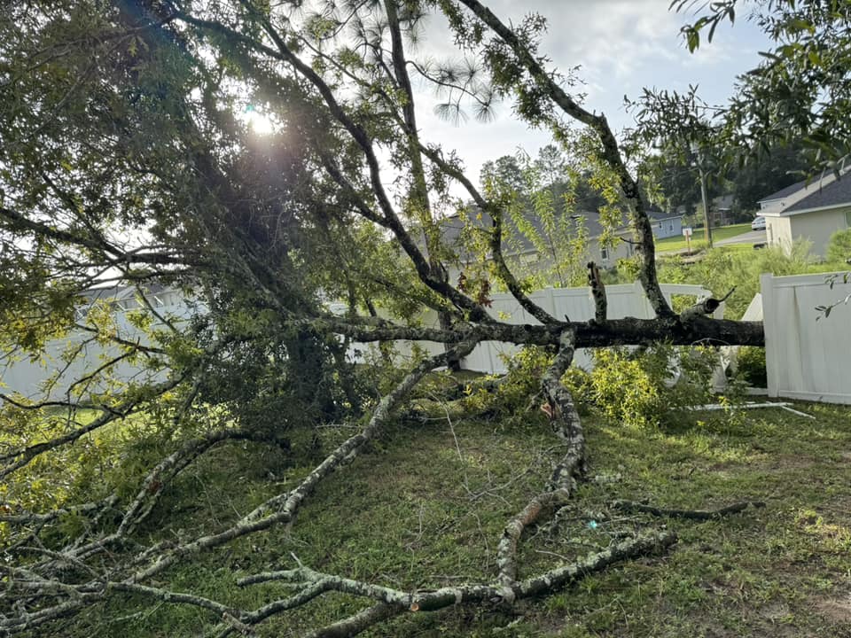 Hurricane Helene Tree falls on top of fence in Marion Oaks, near elementary school Laranda Wilson