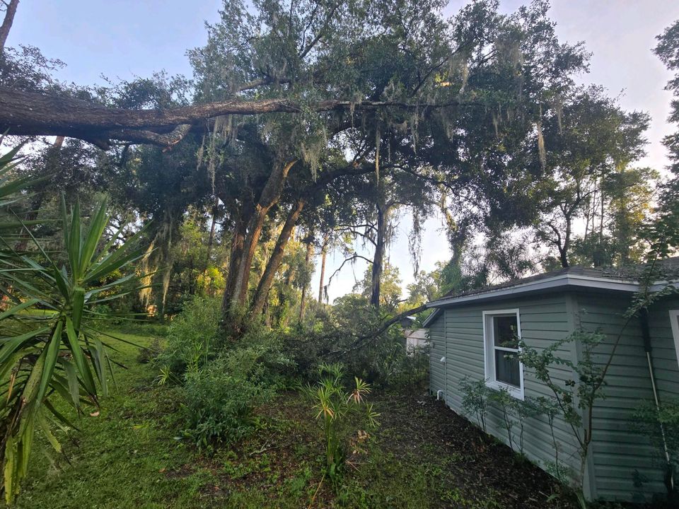 Hurricane Helene Tree nearly downed on home Kathy Darlene Weaver