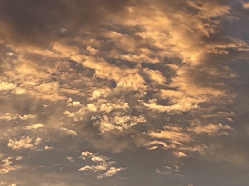 Sun setting over College of Central Florida