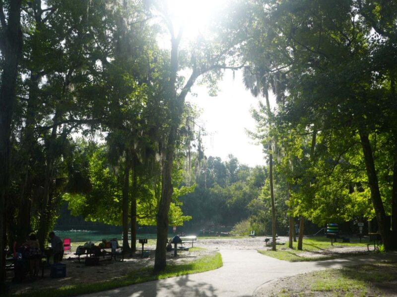 Alexander Springs Recreation Area within the Ocala National Forest