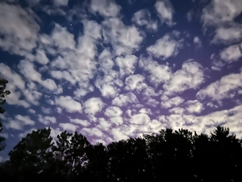 Aurora borealis in night sky over Ocala