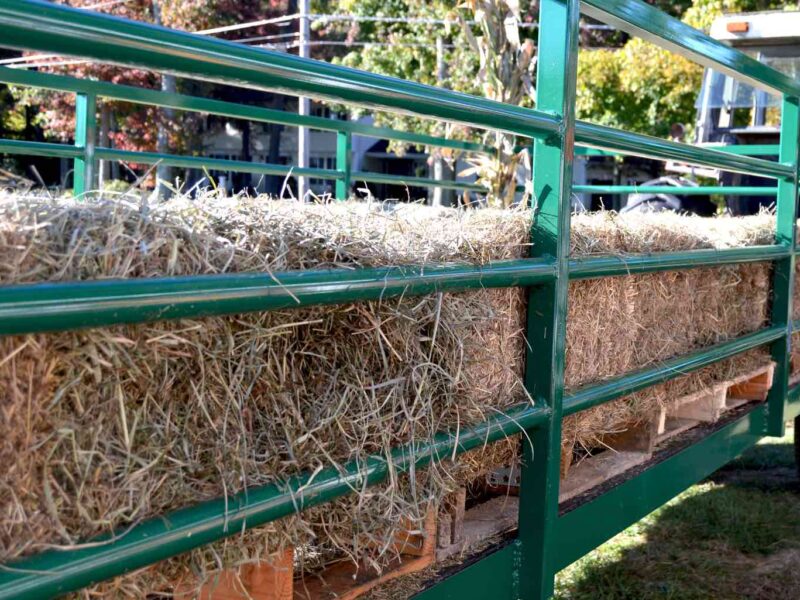 Hay ride on tractor