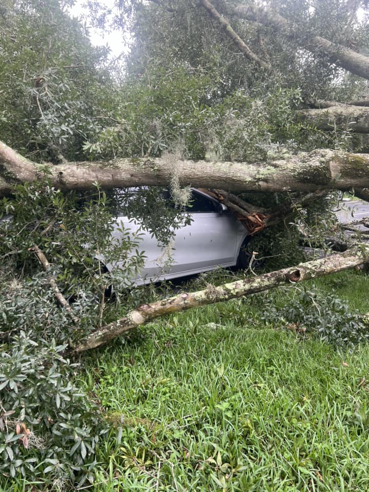 Hurricane Milton Car crushed by downed tree at Paddock Place Apartments John Hall