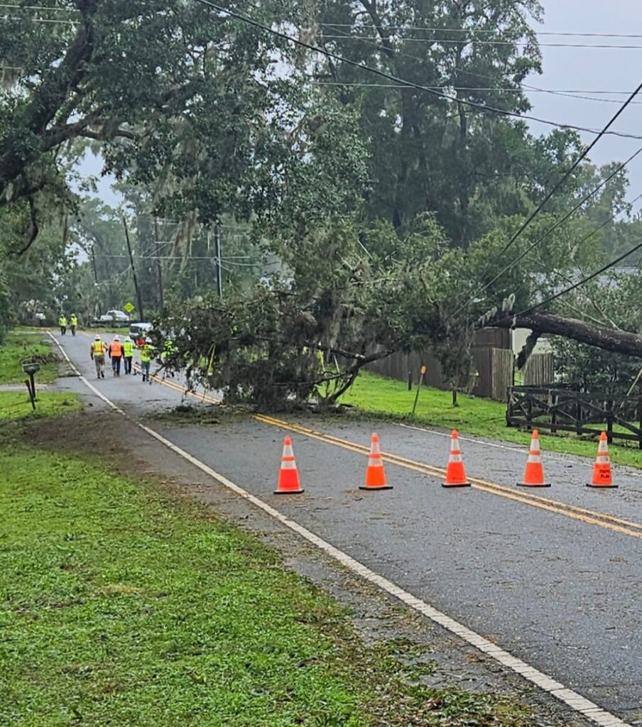 Hurricane Milton Downed Tree Jennifer Tuten