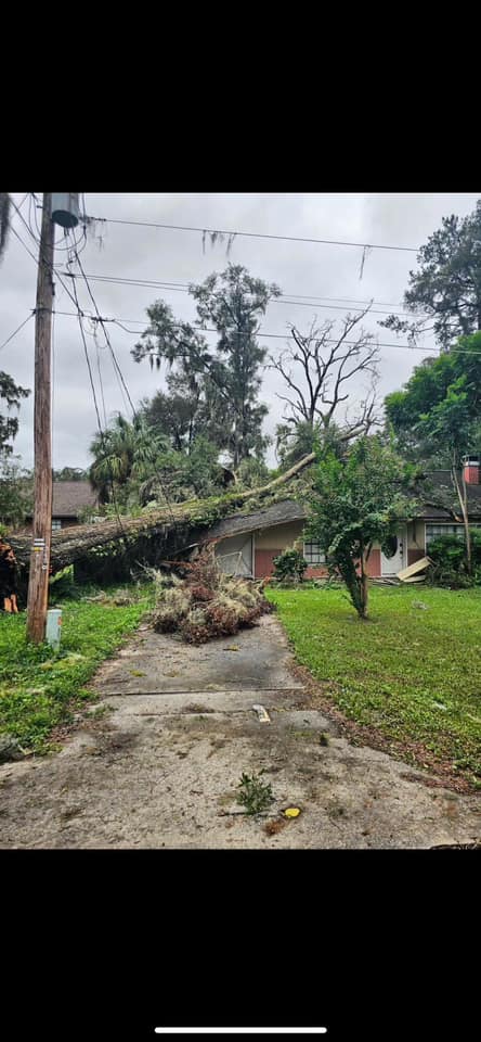 Hurricane Milton Downed Tree in northeast Ocala Pebbles Wolfe Vance