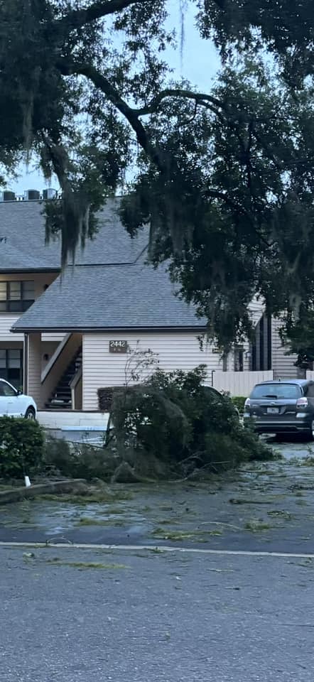Hurricane Milton Downed branches in northeast Ocala Mollie Baxter