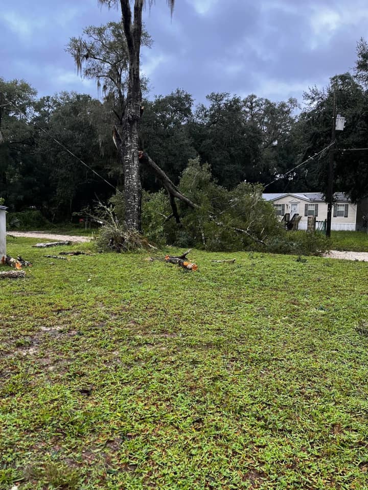 Hurricane Milton Downed tree Amanda Shimkus