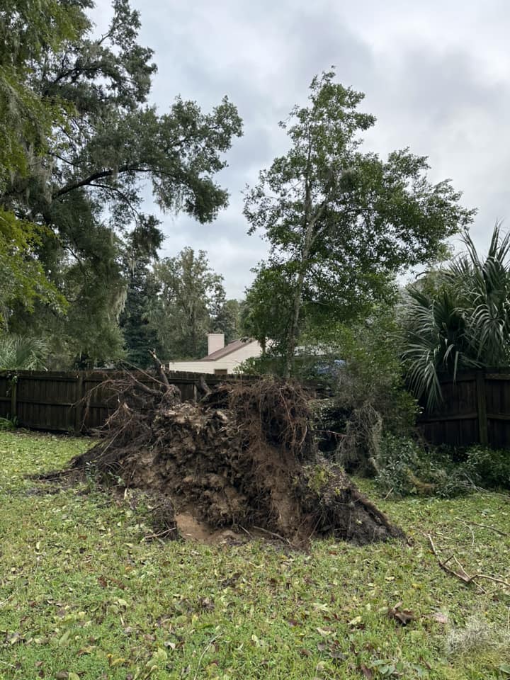 Hurricane Milton Downed tree Ashley Crockwell