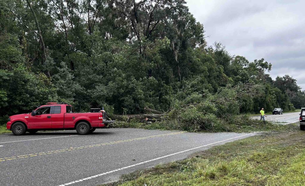 Hurricane Milton Downed tree on Baseline Road, east of SE 110th Street in Belleview Scott Snyder