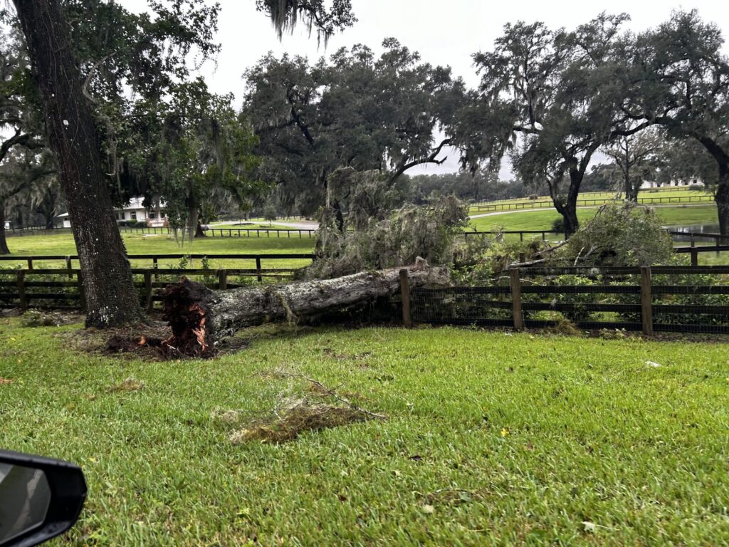 Hurricane Milton Downed tree on fence along S Highway 475 Scott Snyder